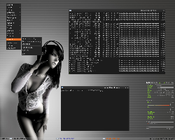 openbox + pypanel + conky