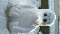 Sněhový TUX, obrázek 10