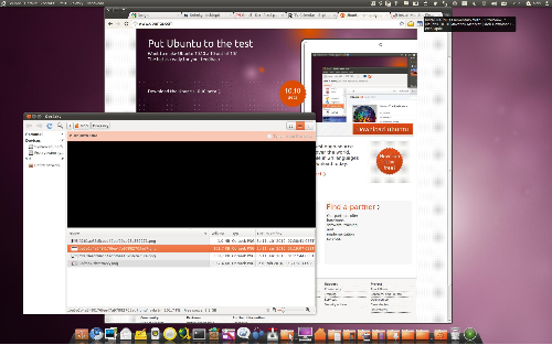 Ubuntu Maverick Meerkat Beta 