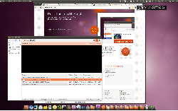 Ubuntu Maverick Meerkat Beta 
