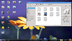 KDE 4.9.1 (Kubuntu 12.04)