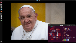 Ubuntu 25.04