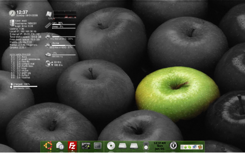 Gnome+Screenlets+AWN
