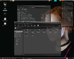 Gnome 2.22.3 - SlicknesS-black