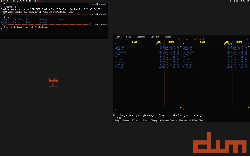 FreeBSD 8 - dwm