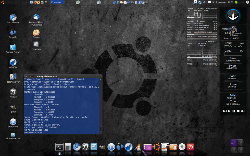 ubuntu 10.04 lts