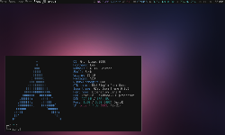 Eee PC 701, Arch Linux, dwm