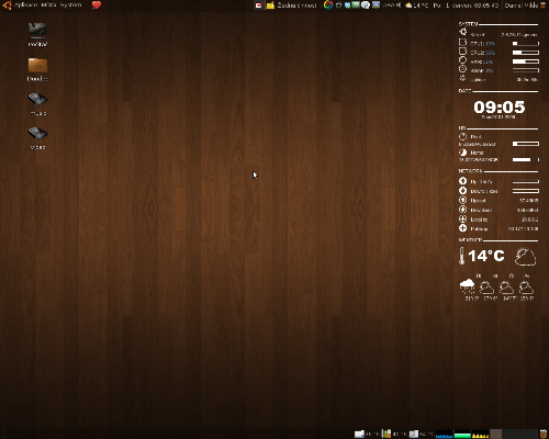 Dust s wooden wallpaperem a conky