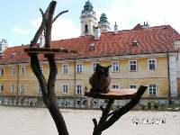 Momentky - série VII., obrázek 5