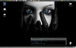 Dark Blue Fedora 13