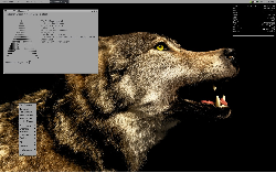 Wolfed Openbox