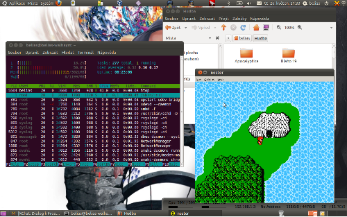 My Ubuntu 10.10