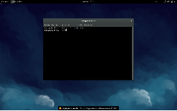 Gnome-Shell bez Xorg