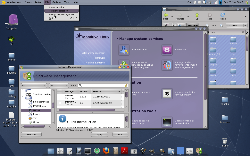 Gnome +Compiz +Emerald +Drakconf customized