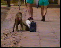 Digitalizace VHS, obrázek 4