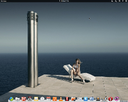 Elementary OS