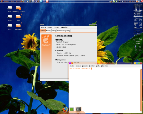 GNOME 2.20.1+AWN+CompizFusion