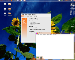 GNOME 2.20.1+AWN+CompizFusion