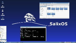 Salix OS : slack power inside