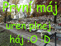 images, obrázek 7