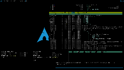 Archlinux - monsterwm