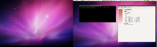 Debian Unstable | Mate | Shiny + Shiky-Wine