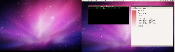Debian Unstable | Mate | Shiny + Shiky-Wine