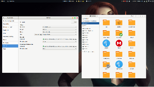 Archlinux Gnome 3.28.1