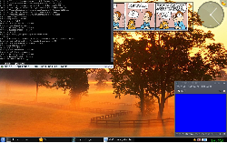 KDE 4.0.2 + DragonPlayer a Yakuake