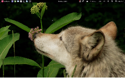 Gnome Shell @ Laptop