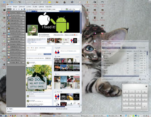 KDE 4.3.5; 2480 x 1920 (zmenšeno na 1024x 793)