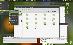 GNOME 2.24 - ani dark ani light