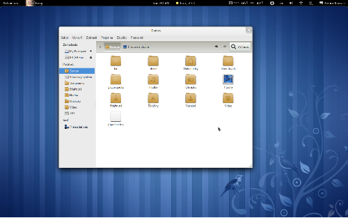 Gnome-shell