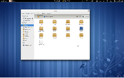 Gnome-shell