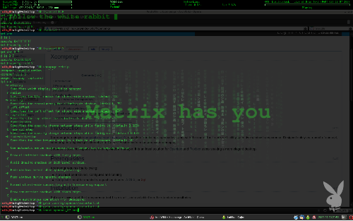 Openbox, xcompmgr