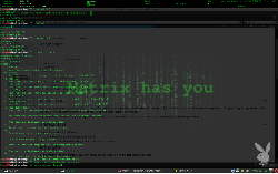 Openbox, xcompmgr