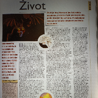 Kdyby jen léta jdou ..., obrázek 1