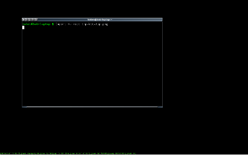 gentoo + openbox