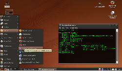 ubuntu 9.04 / eee 901