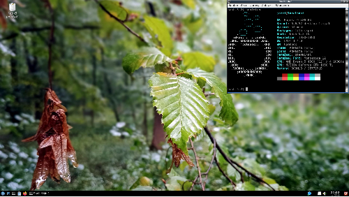 Mageia + LXQt