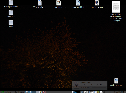 Blossom in the Night