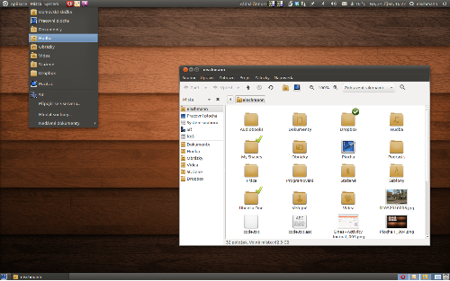 Ubuntu 10.10