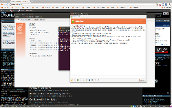 Ubuntu 10.10, Gnome 2.32, Ambience, DockbarX