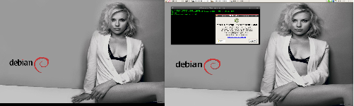 Debian Unstable | Mate | Shiny + Shiky-Wine
