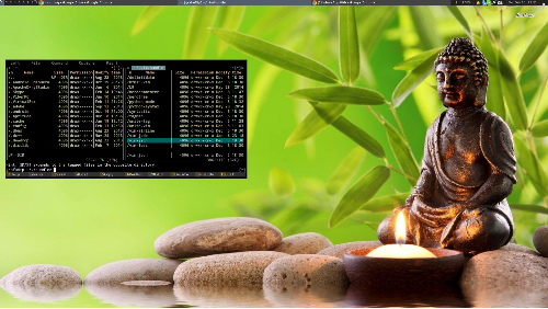 Awesome WM + trocha ZENu