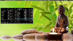 Awesome WM + trocha ZENu