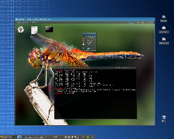 Zenwalk+Qemu (dragonflybsd)