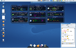 Gnome + Compiz-Fusion + SuperKaramba + Avant-window-navigator