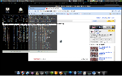 Chromium Ubuntu 9.04