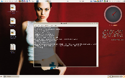 Archlinux, Gnome 2.24.3